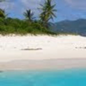 Meet your Posher, Paige